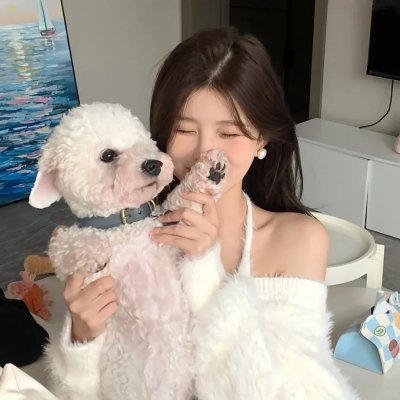 明月祭君心