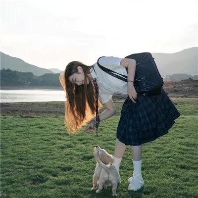 我的英雄学院第六季