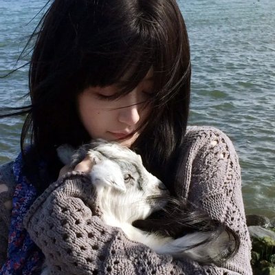 芝拉克2015